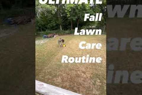 Ultimate FALL Lawn Care Routine: Scalping &amp; Dethatching Grass #shorts #scalping #lawncare