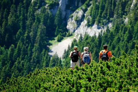 A traveller’s guide to carbon offsetting