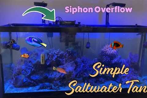 Simple Saltwater Aquariums
