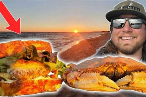 Delicious Dungeness Crab Catch &amp; Cook (THE CRABBY PATTY)