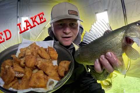 Upper Red Lake early ice (Catch and Cook)