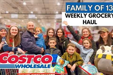 HUGE COSTCO GROCERY HAUL! Family of 13 ❤️ Shopping with 11 Kids🎄