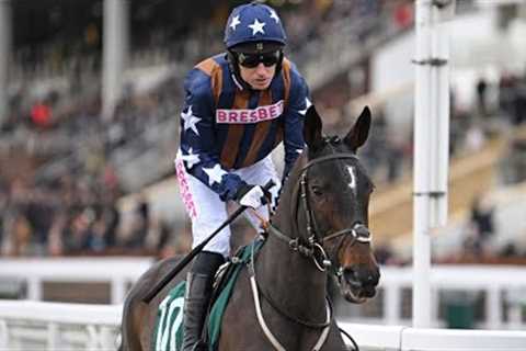 DYSART ENOS remains unbeaten with impressive Cheltenham success