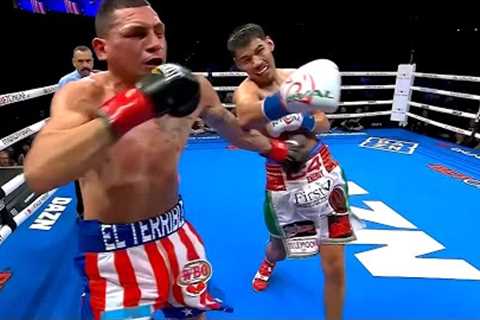Boxing's Best Knockouts of the Fall 2023, HD