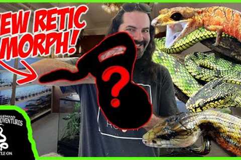 THE COOLEST REPTILE SHOP IN MALAYSIA! (New never seen before REPTILE MORPHS!)