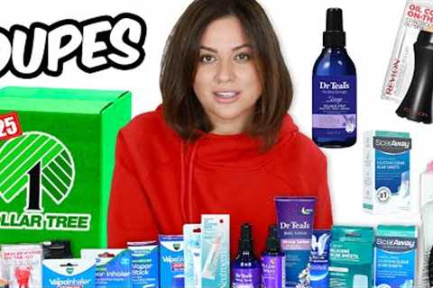 I Bought Dollar Tree NEW Line of Knockoffs! Find Them While You Can