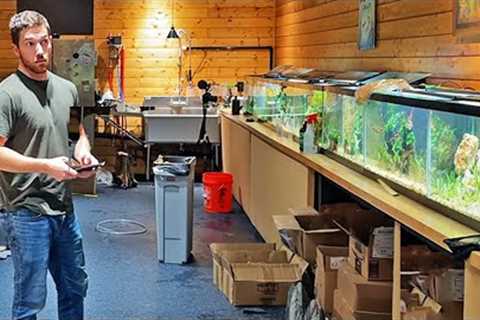 We Did it. (Day 3) - Fish Room Update Ep. 133