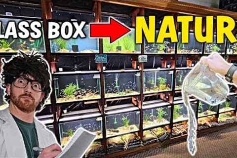 Improve Your Natural Aquariums Curb Appeal! - Easy Blueprints! w/ Aquarium Co-Op