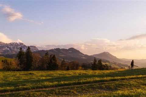 Zero-Impact Travel: Exploring Earthships And Eco-Homes