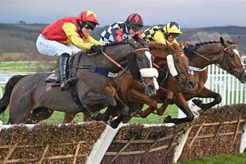 SHANAGH BOB remains unbeaten for Henderson with Grade Two glory at Cheltenham