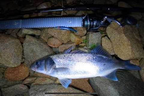 UK SEA BASS FISHING AT NIGHT USING  SOFT PLASTIC LURES!!