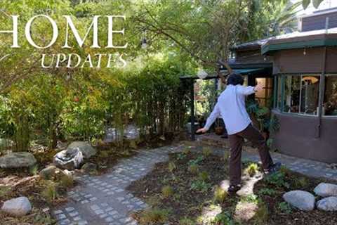 Home Updates | Garden transformation, native plants &amp; landscape