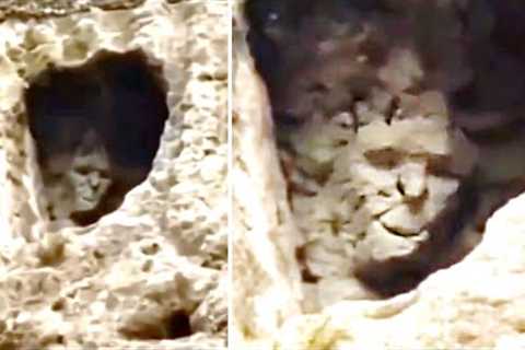 5 Unsolved Grand Canyon Mysteries That Cannot Be Explained