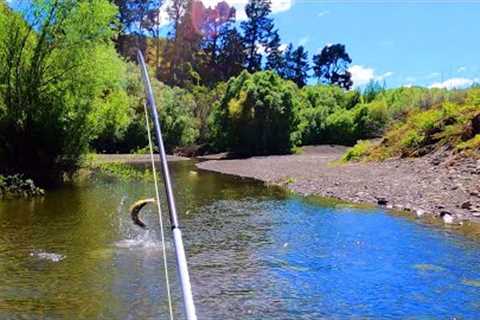 SMALL STREAM - BIG BROWN TROUT - the tactics we use in challenging brown trout streams