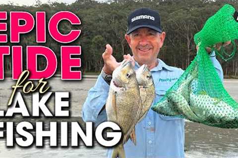 This DELICATE bait is DEADLY effective on Bream, Whiting &amp; More!