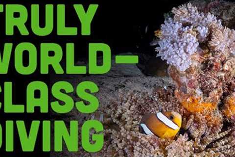 Why The Philippines Is Truly World-Class for Scuba Diving