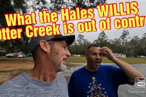 What the Hales WILLIS Christmas in the Creek is out of control
