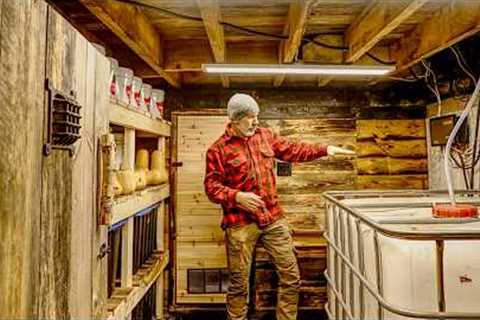 Root Cellar Build Start to Finish &amp; Tour | Storing Food for 25 Years Off Grid, A Year's Food..
