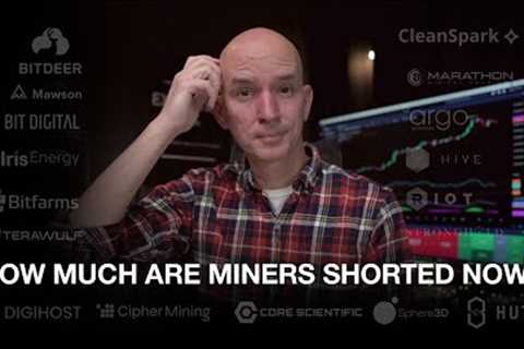 How Much Are Bitcoin Miners Shorted Now! BTC vs Miners This Week!