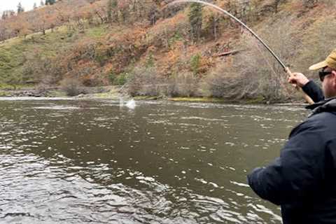 Crazy Day in Washington - Spey Fishing for Summer Steelhead