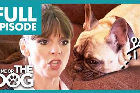 Owner Wants To Cut Her Noisy Dog's Vocal Chords😭🔉 | Full Episode | It's Me or The Dog