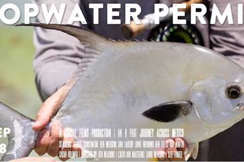 You Can Catch Permit on Topwater? An On-Foot Fly Fishing Miracle that Ends In Mayhem // Ep 8