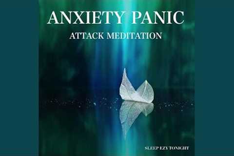 Anxiety Panic Attack Meditation