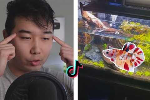 TikTok Fish Tanks BUT IT'S GOOD | Fish Tank Review 233