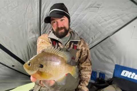 Early Ice Crappies And Bluegills (FT. FISHNMORE)