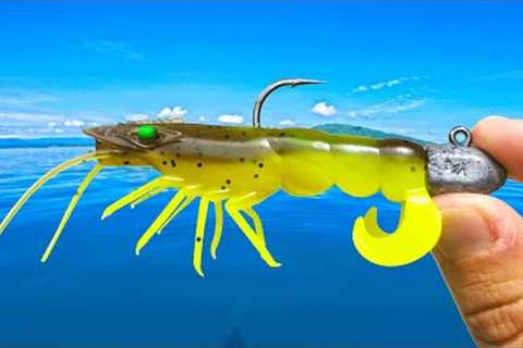 Tropical Waters Fishing for BIG Fish!