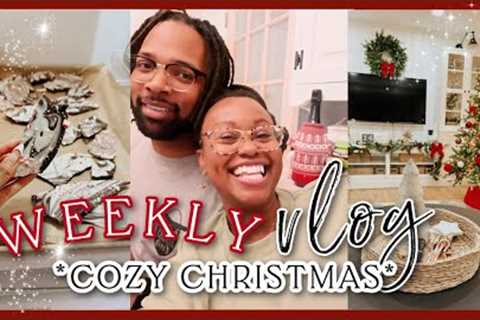 A COZY WEEK IN MY LIFE| Cooking, DIY Projects, Homemade Dog Food + Baking| Christmas Vlog