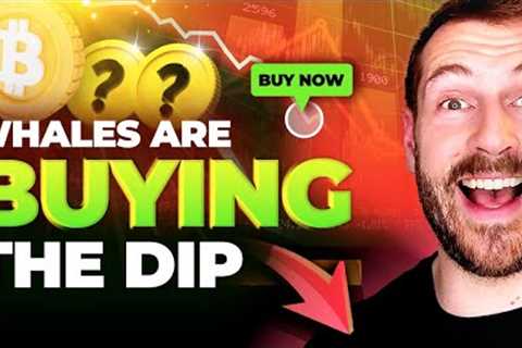 CRYPTO BULLRUN ACCUMULATION SURGES | Whales are Buying These Altcoins