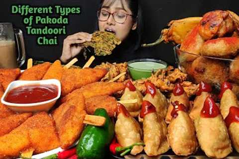 Eating Different types of Pakoda, Tandoori Chai, Samosa | Big Bites | Asmr Eating | Mukbang
