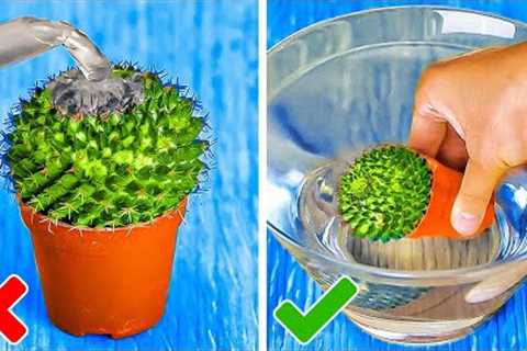 Plant Growing Hacks And Smart Gardening Tips