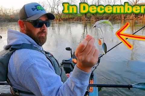 I Never Used to Fish Like This