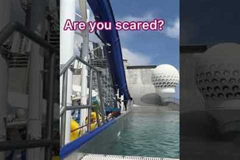 Are You Scared? Royal Caribbean Cruise Slides #shorts #royalcaribbean #libertyoftheseas