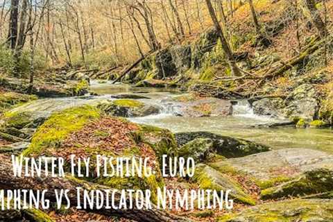 Winter Fly Fishing: Euro Nymphing vs. Indicator