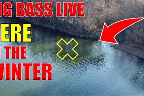 3 Proven FISHING Techniques That Catch BIG WINTER Bass