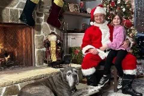 Christmas Dog Training Giveaway!