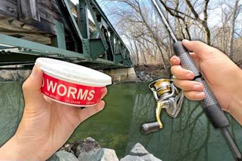 I traveled 11 Hours to FISH my Old Honey Hole