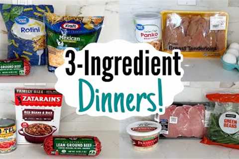 The EASIEST 3 Ingredient Dinners | Quick, Tasty, &amp; Cheap Meals MADE EASY! | Julia Pacheco