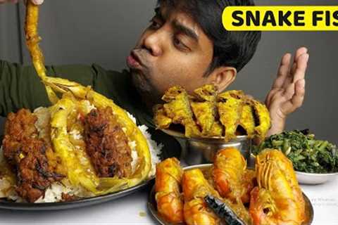 Snake Fish Eating ASMR MUKBANG Food Show