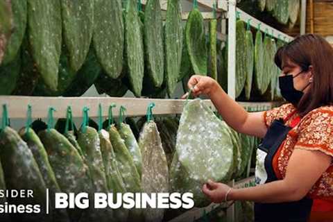 Why Tiny Cactus Bugs In Red Food Dye Are A $35 Billion Industry | Big Business | Insider Business