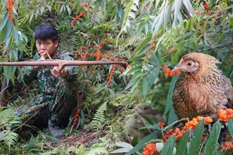 Skills, survival, wild chicken hunting skills, building stone shelters, Survival skills