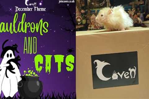Coven - December 2023 - Cats and Cauldrons Unboxing - Monthly Subscription Box Aesthetic Gothic