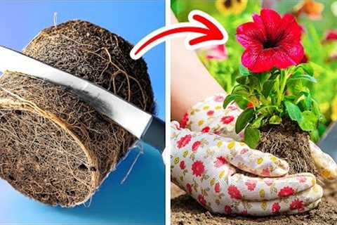 SMART HACKS TO EASILY GROW YOUR OWN PLANTS