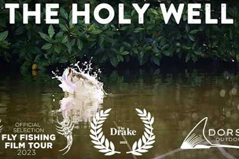 Fishing for Tarpon with Poppers | The Holy Well | Official 2023 Fly Fishing Film Tour (F3T)Selection