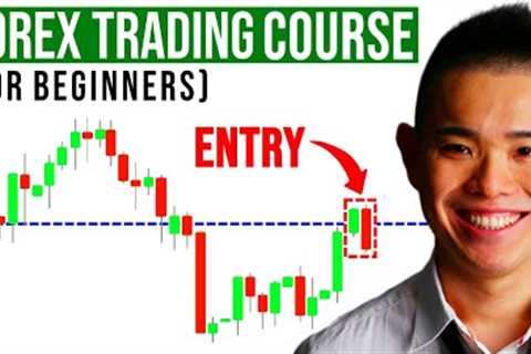 The Ultimate Forex Trading Course (For Beginners)