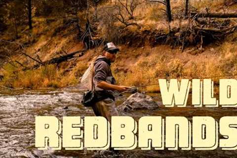 WILD REDBANDS | Fall Fly Fishing &amp; Solar Eclipse Viewing in the Oregon Outback