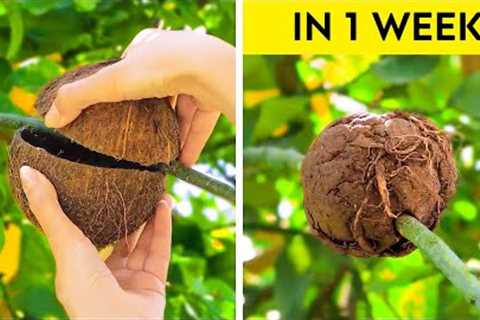Incredible Plants Hacks And Gardening Tips